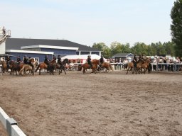 IMG_1297_web